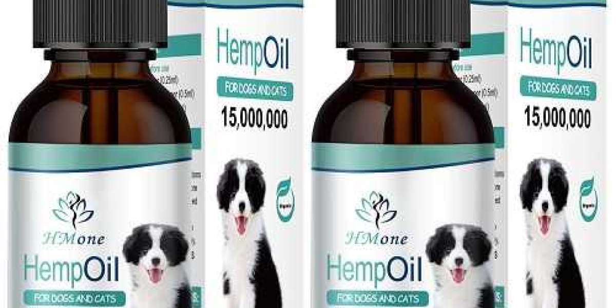 Canine Wellness: Unveiling the Potential of CBD Oil for Dogs