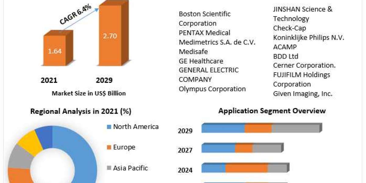 Non-vascular Stents Market Growth, Size, Revenue Analysis, Top Leaders and Forecast 2029