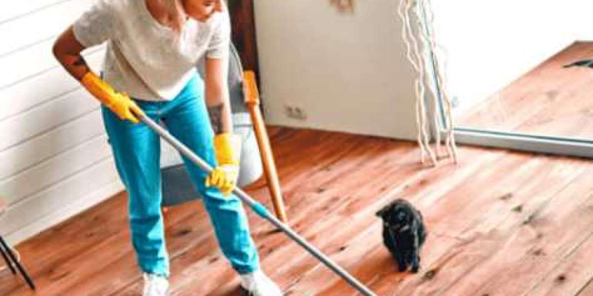 Domestic Cleaning Services in Melbourne: Elevating Home Hygiene and Convenience