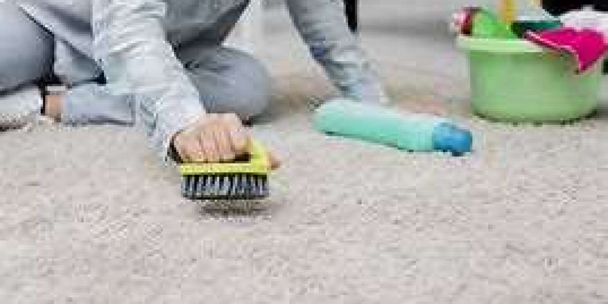 The Undeniable Importance of Professional Carpet Cleaning Services
