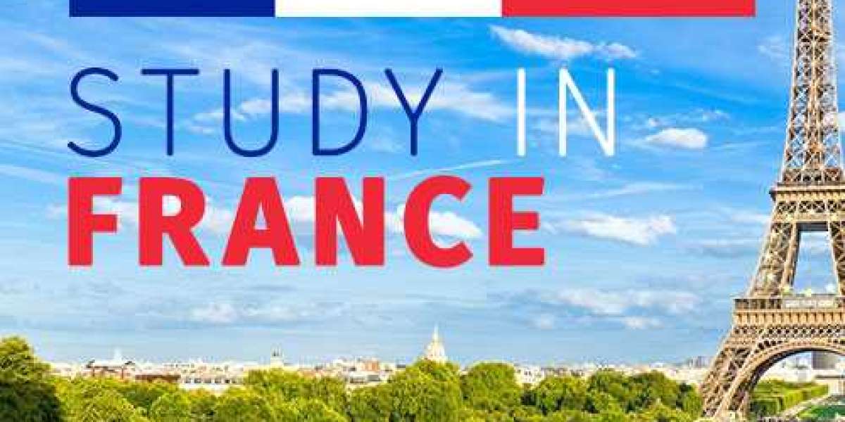 Discover the magic of learning in France, where knowledge knows no bounds.