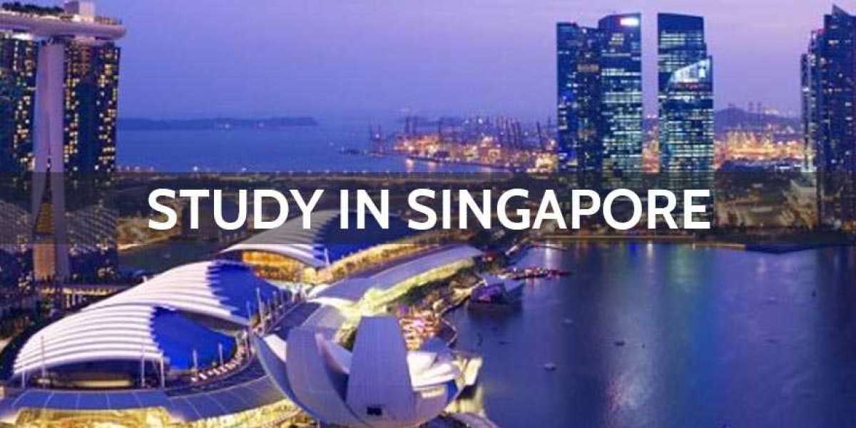Unlocking the Potential of International Education at Singapore Education Symphony