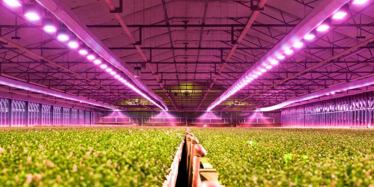 Horticulture Lighting Market Analysis of Current Industry Figures with Growth Forecast by 2032