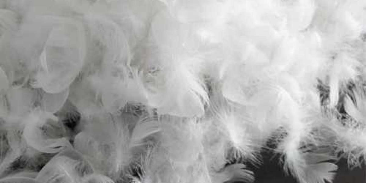 Luxurious Comfort: Exploring the World of Down Feathers for Sale