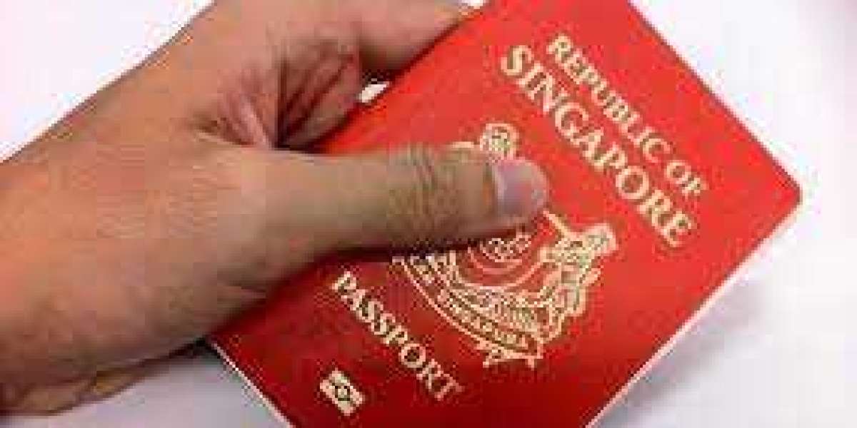 A Step Closer to Calling Singapore Home: Your Guide to Citizenship Application