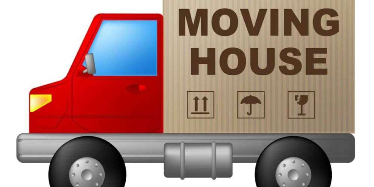 Moving with Ease: The Man and Van Putney Experience