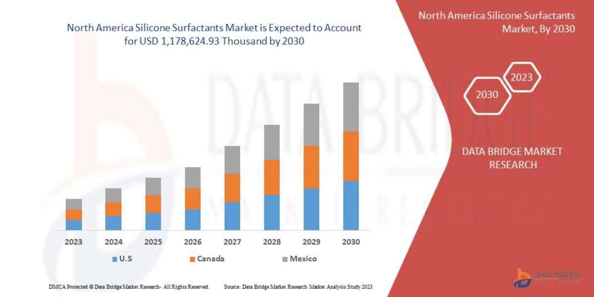 North America Silicone Surfactants Market Size, Status and Outlook 2030