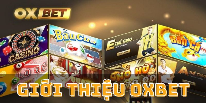 Giới Thiệu OXBET - Nhà Cái Thần Tài Rinh Vàng Về Ví