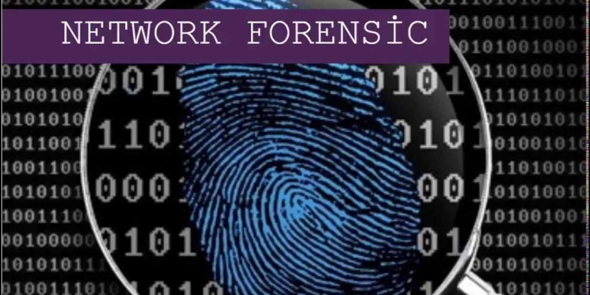 Network Forensic Market Growth  Analysis, Trends,  Segment Forecast to 2032
