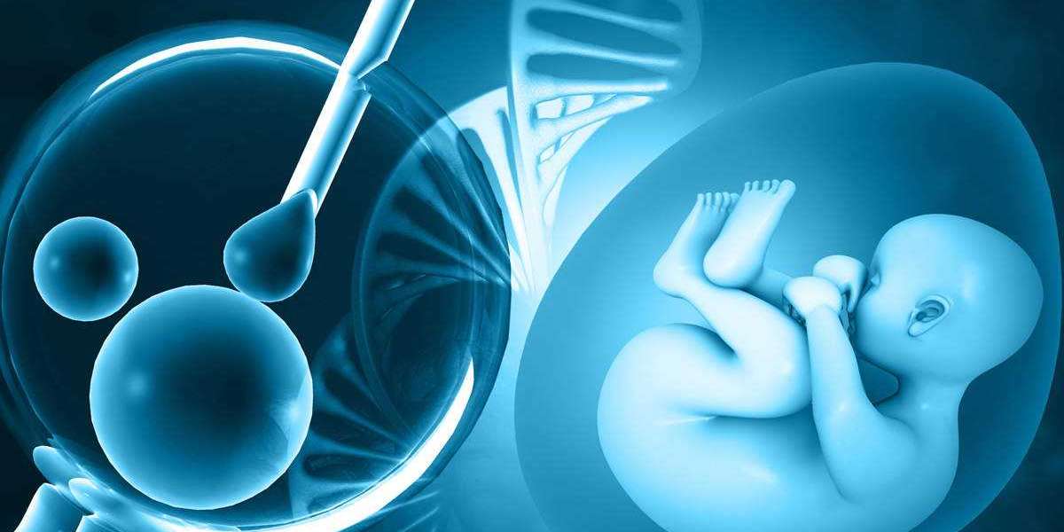In Vitro Fertilization Services Market Manufacturers, Type, Application, Regions and Forecast to 2030