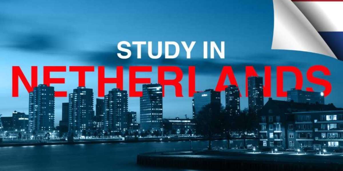 An Ultimate Guide About Study In Netherlands