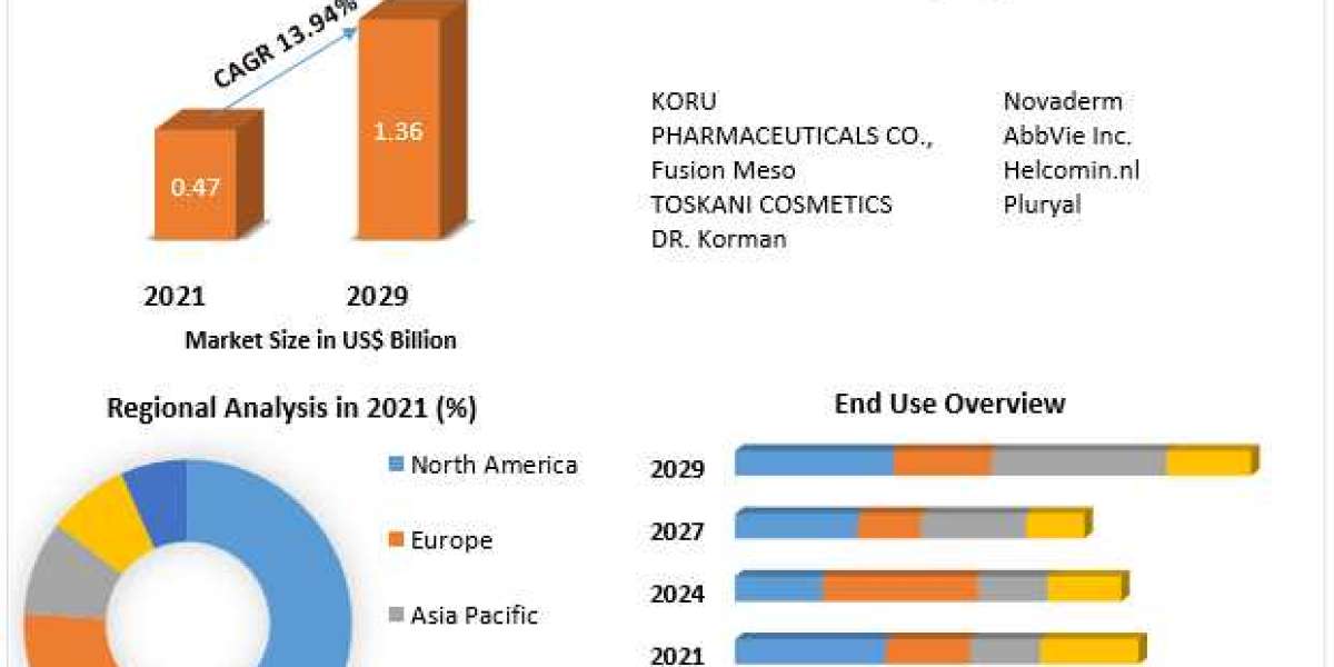 Mesotherapy Market Potential Effect on Upcoming Future Growth, Competitive Analysis and Forecast 2029
