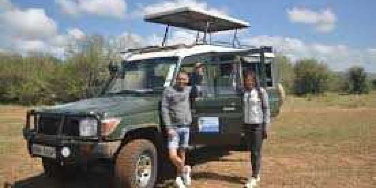 Affordable Thrills: Budget Kenya Safaris for Nature Lovers