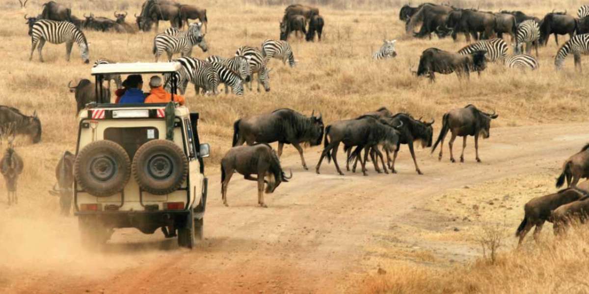 From Wildlife to Cultural Heritage: Discover the Best of Kenya's Tourist Attractions