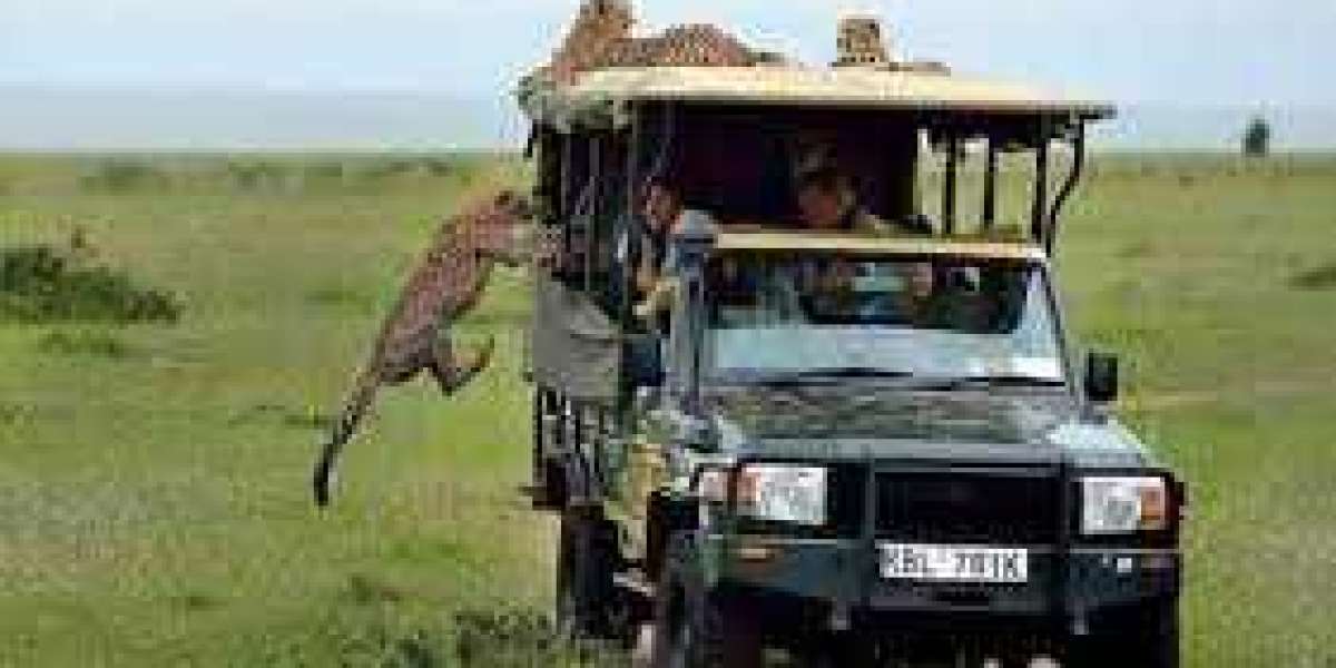 Nairobi's Natural Wonders: 1-Day Safari and Wildlife Day Trips