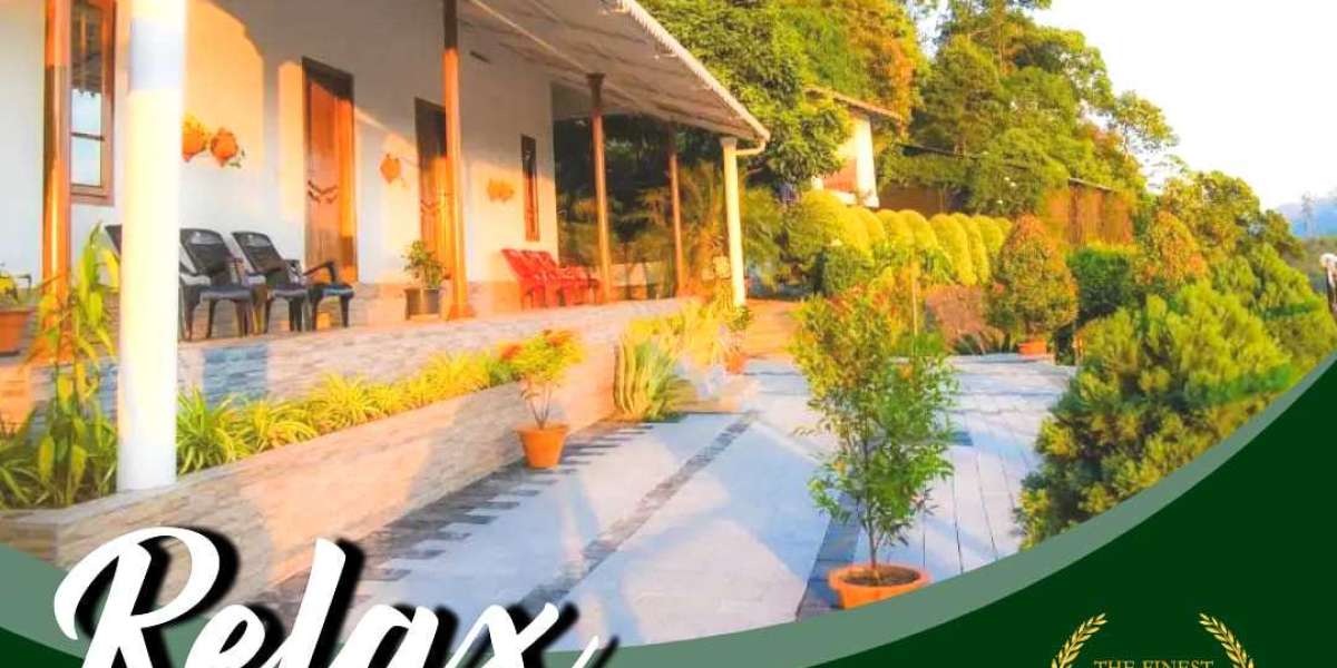 Dive into Bliss: Theeram - Your Ultimate Swimming Pool Homestays in Vagamon