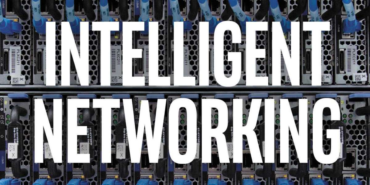 Intelligent Network Market Insights by Growth Strategy and Opportunity Forecast to 2032