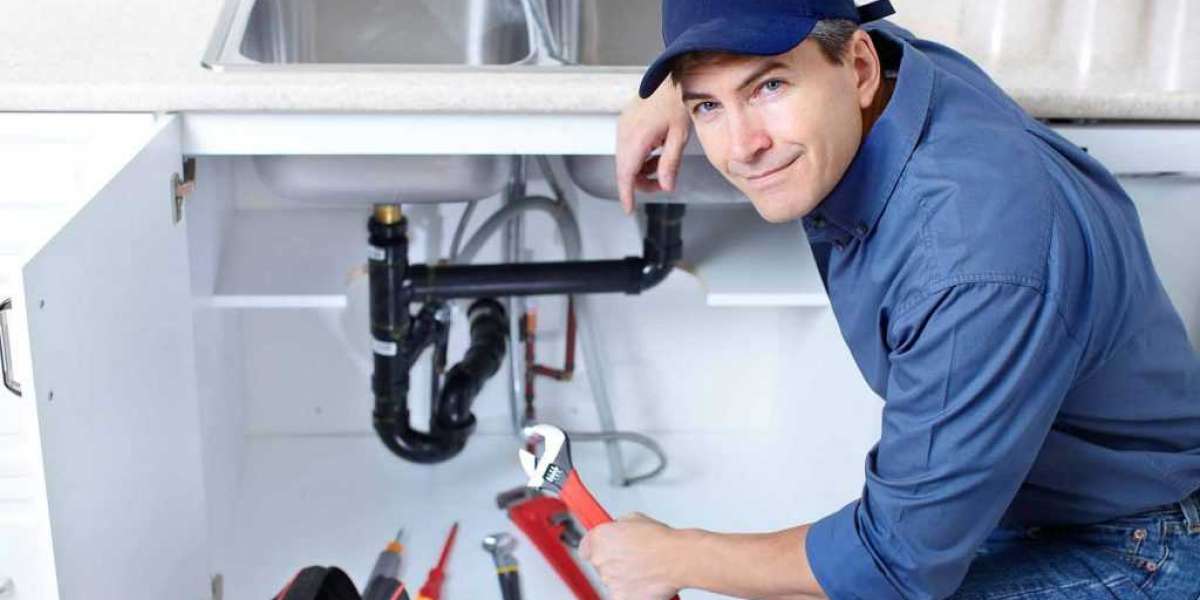 Expert Oakville Plumbers: Providing Top-Quality Plumbing Services