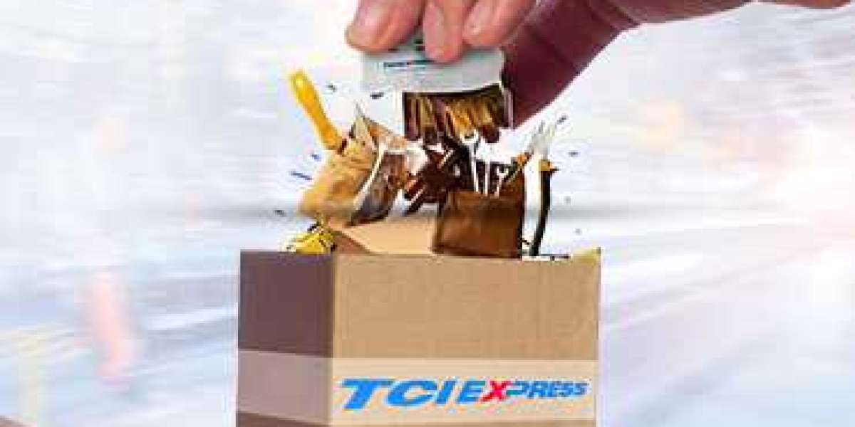 Unlocking the Potential: TCI Express - The Leading Logistics Company in India