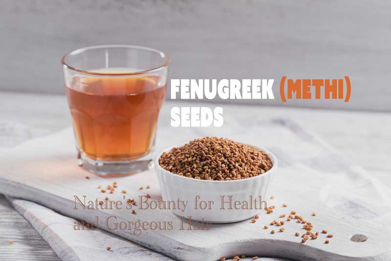 Fenugreek Seeds: Health Benefits, Precautions, and Hair Growth
