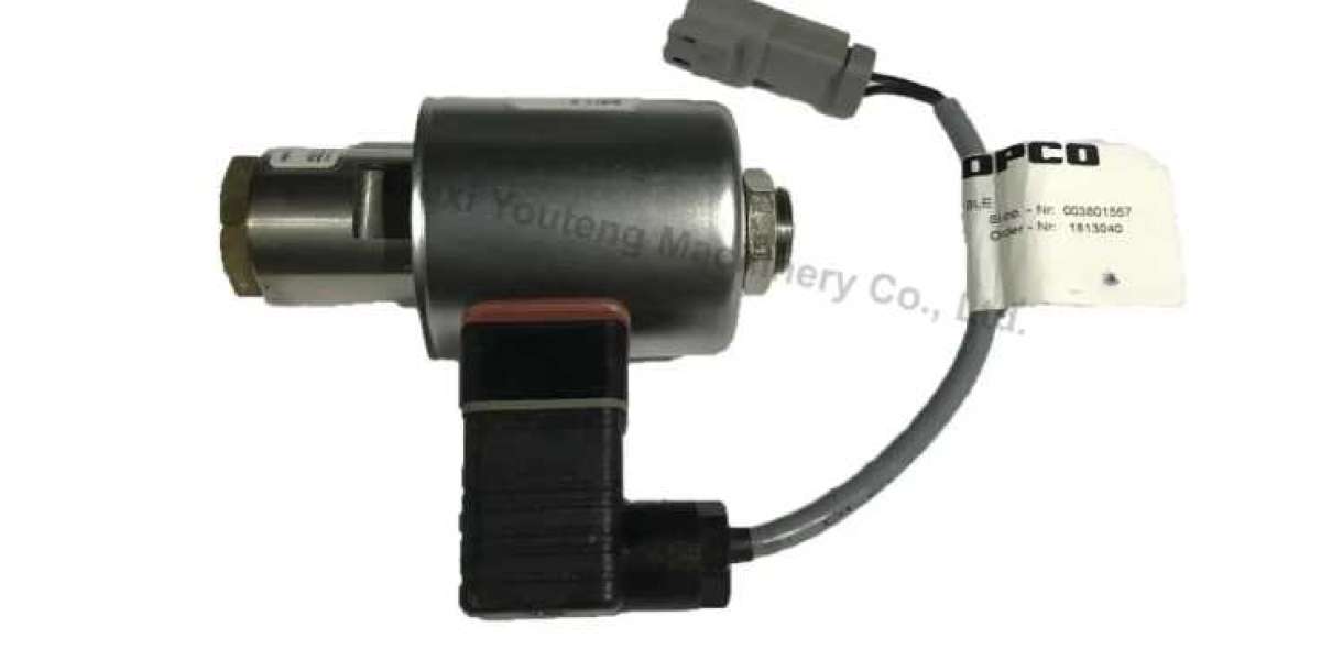 Why does the air compressor solenoid valve leak?