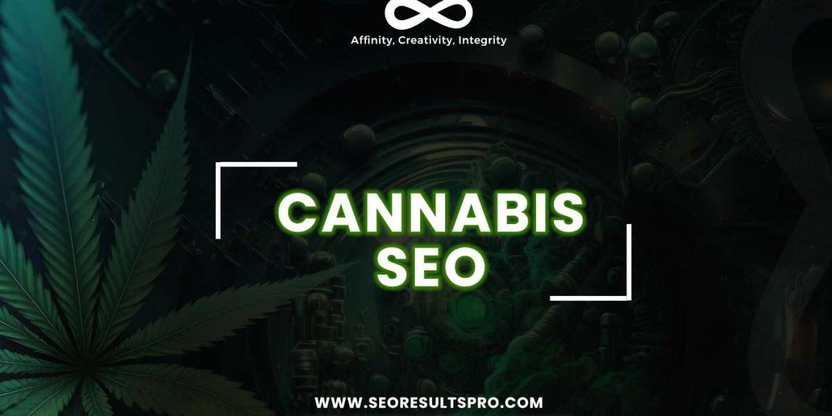 DIY Vs. Pro: When It's Time To Call In An SEO Agency For CBD To Save The Day