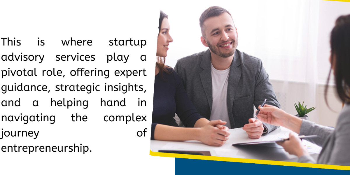 Navigating Success: Gulf Analytica's Innovative Approach to Startup Consulting