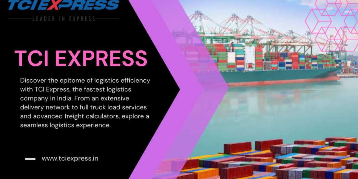 Unlocking the Tapestry: TCI Express and India's Logistics Marvel