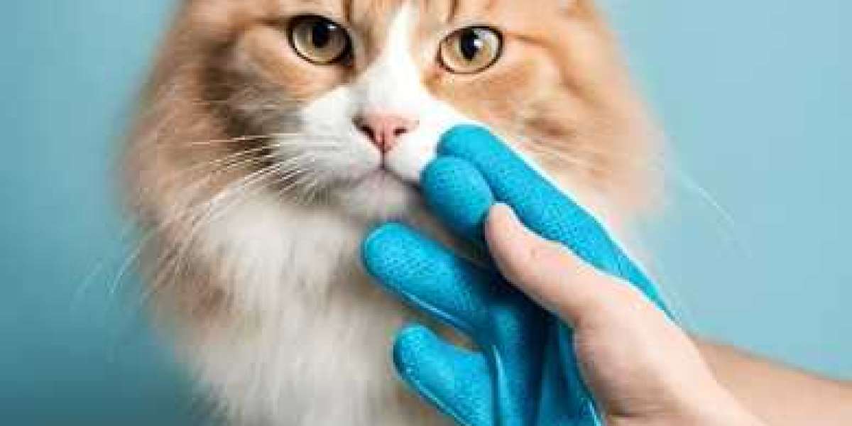 Pet Hair Removal Gloves: A Purr-fect Solution for Taming Furry Foes