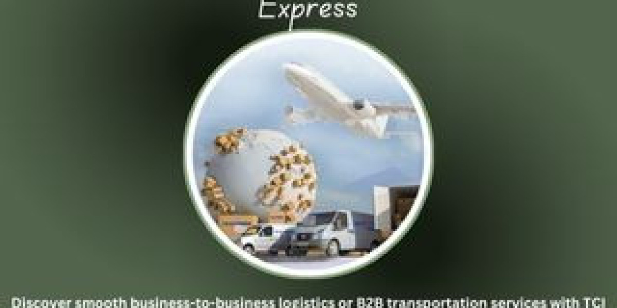 B2B Transport: Unveiling the Dominance of TCI EXPRESS