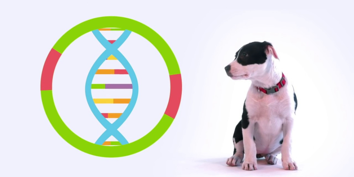The Pet DNA Testing Market is anticipated to expand its roots at a steady CAGR of 9.1% between 2023 and 2033