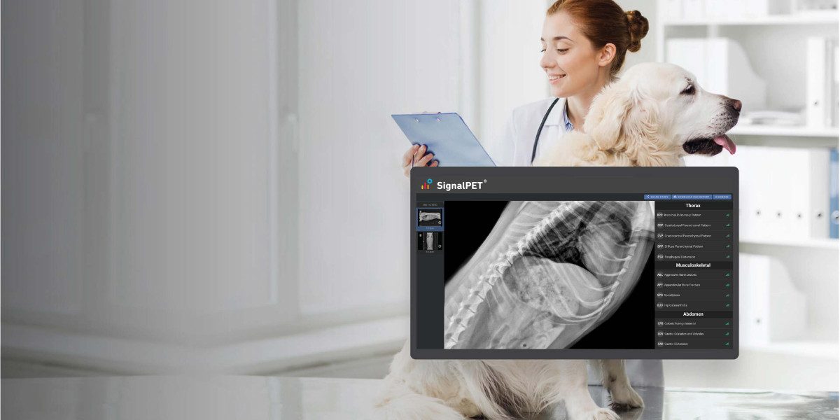 Global Veterinary Imaging Market Size, Industry Share & Trends - 2030