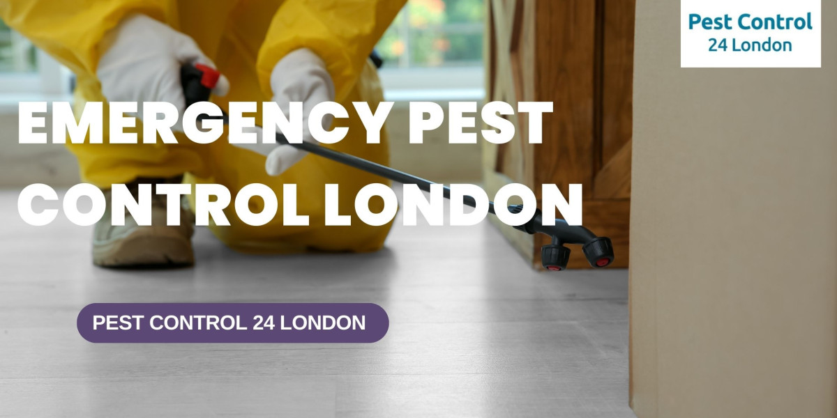 A swift response is available 24/7 for emergency pest control in London