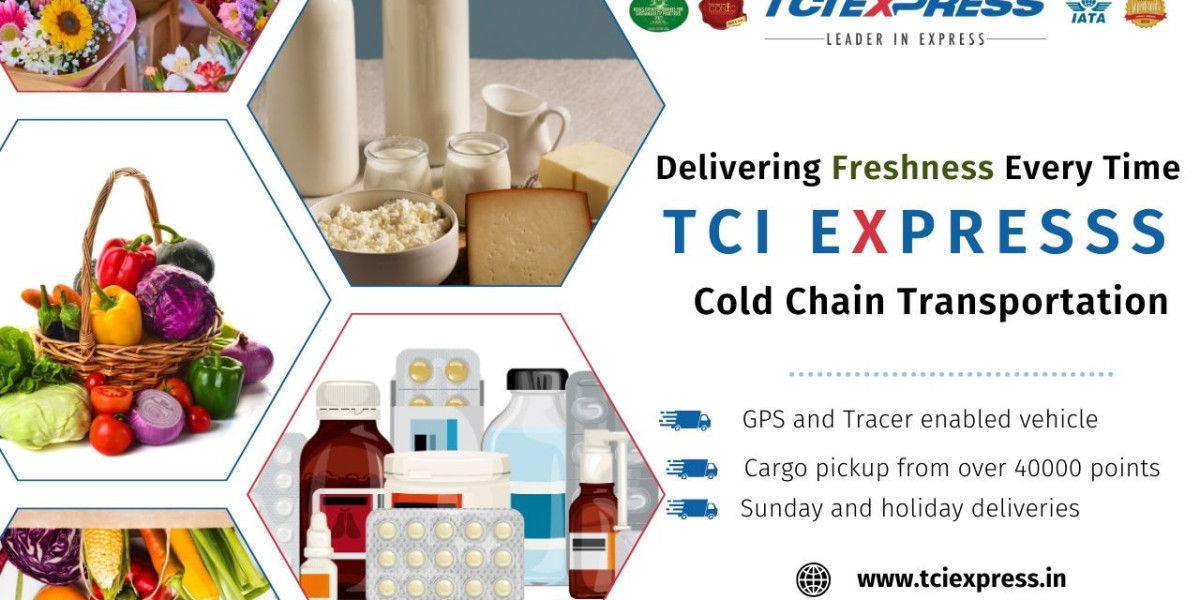 Mastering Logistics: TCI Express and the Evolution of Cold Chain Transportation
