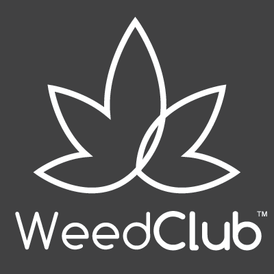 WeedClub | T. B. | Banishing the Drip: Effective Methods to Stop a Runny Nose Instantly