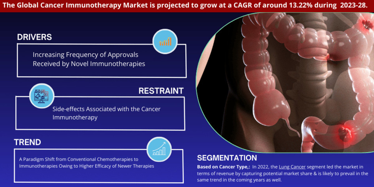 Global Cancer Immunotherapy Market 2023-2028: Share, Size, Industry Analysis, Growth Drivers, Innovation, and Future Out