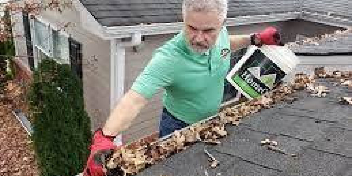 Gutter Cleaning 101: Portland's Guide to a Healthy Home