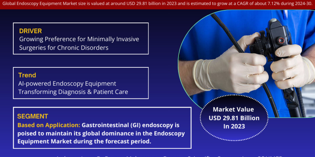 Global Endoscopy Equipment Market Trend, Size, Share, Trends, Growth, Report and Forecast 2024-2030