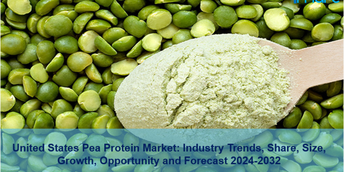 United States Pea Protein Market Size, Share, Demand & Trends 2024-2032