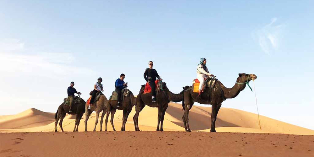 Embark on an Enchanting Journey: Marrakech to Ait Ben Haddou 2 Days Tour