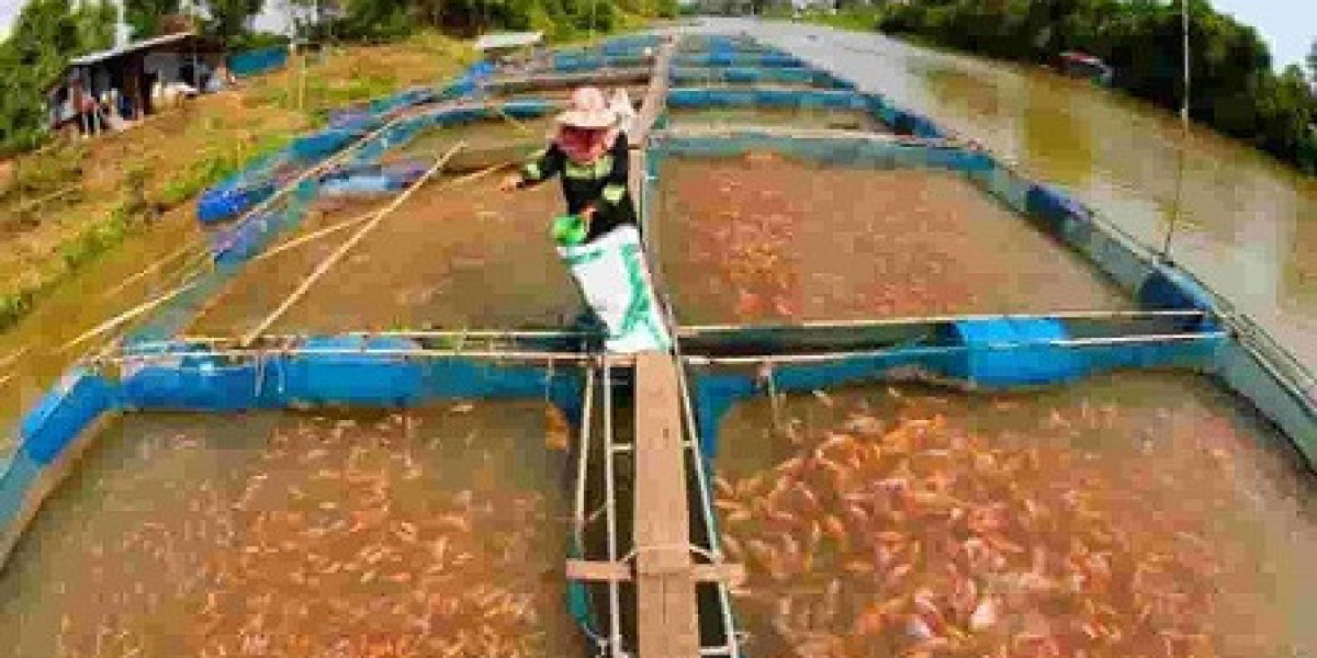 Fish Farming Manufacturing Plant Project Report, Machinery Requirements, Raw Materials, Cost and Revenue