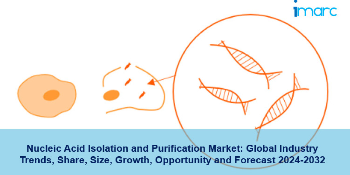 Nucleic Acid Isolation and Purification Market Growth Opportunity 2024-2032