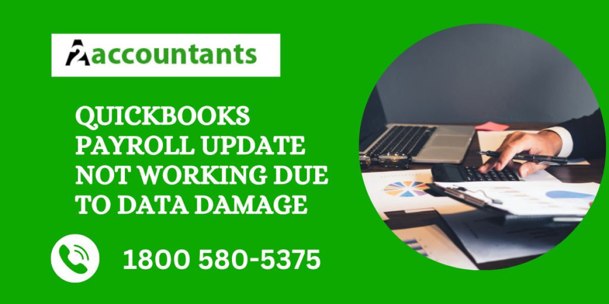 QuickBooks Payroll Update Not Working Due to Data Damage
