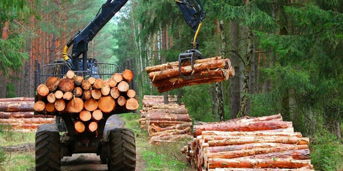 Forestry and Logging Market Poised for Expansion Amid Rising Wooden Furniture Demand