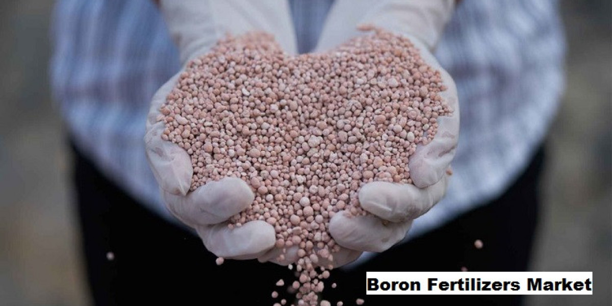Boron Fertilizers Market Analysis: Economic Benefits Driving Increased Adoption