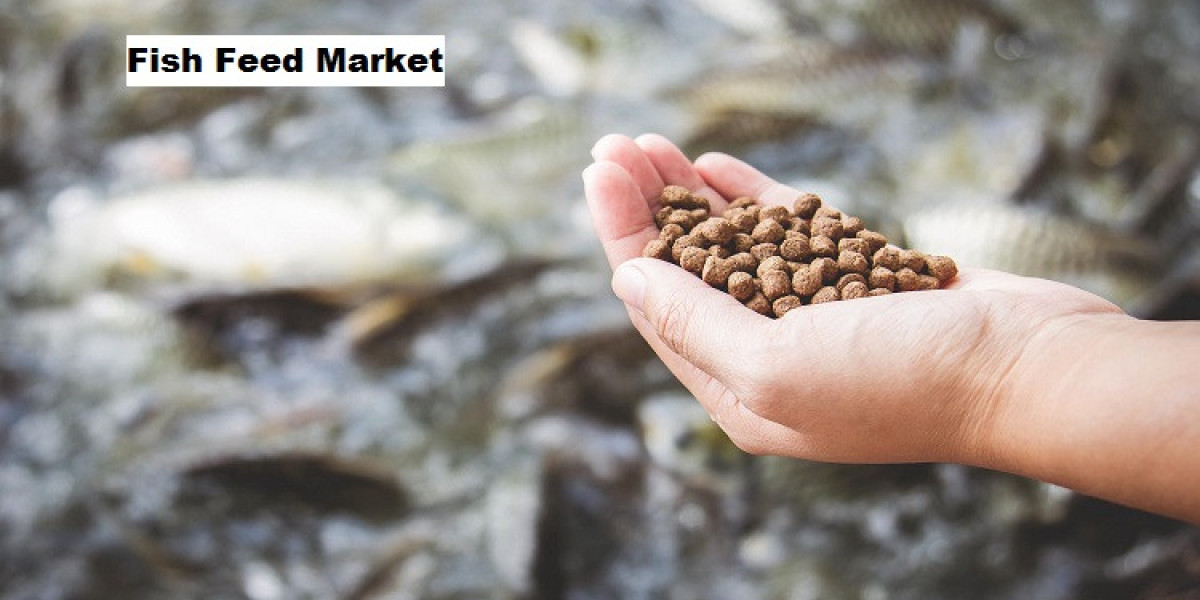 Fish Feed Market Trends: Advancements in Sustainable Feed Production