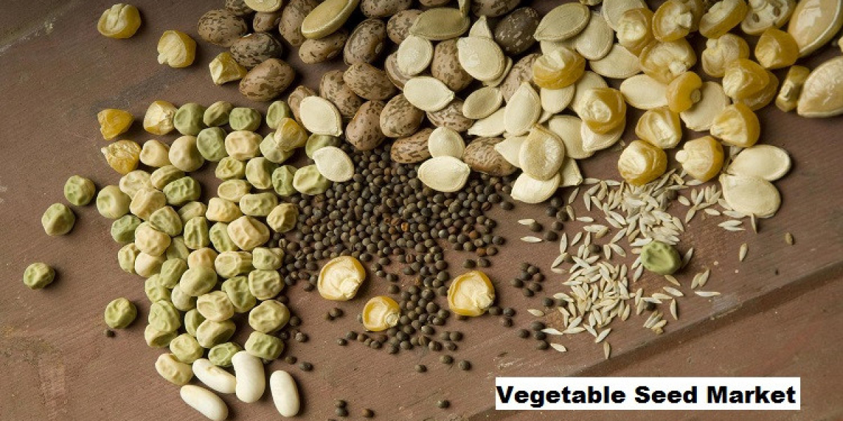 Vegetable Seed Market Responds to Growing Health and Nutrition Awareness