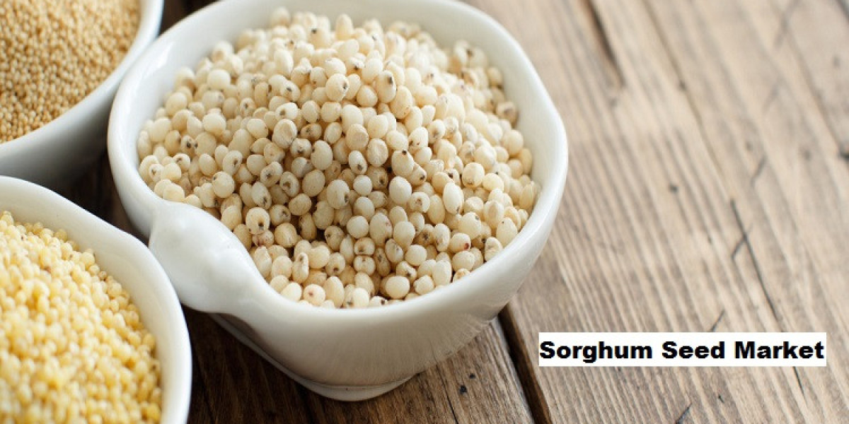 Sorghum Seed Market Forecast: Dietary Preferences in Focus