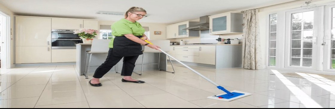 Professional Cleaning Cover Image