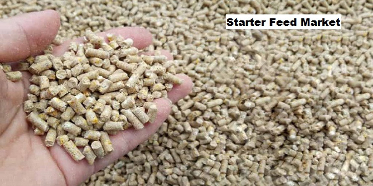 Starter Feed Market Analysis: Role of Advanced Nutrition Technologies